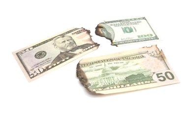Beyaz dolar yanmış reçeteleri