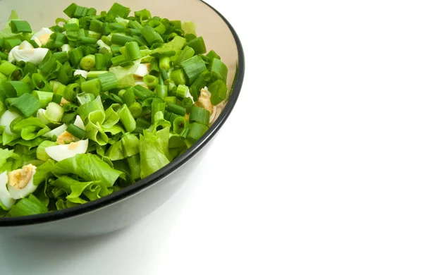 Insalata di verdure in un piatto — Foto Stock