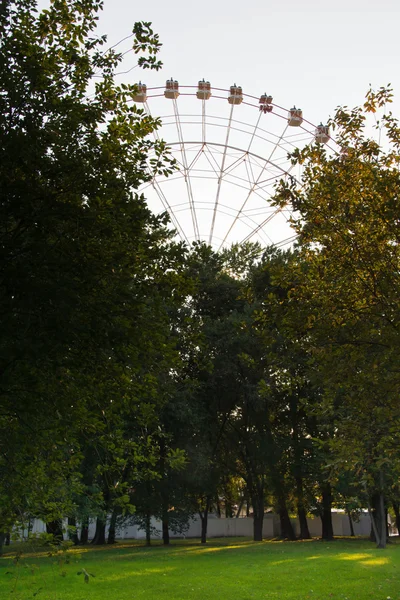 Grande roue dans un parc d'attractions dans l'après-midi — Photo