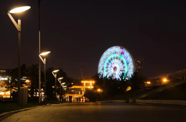 Vue du soir sur le parc avec grande roue — Photo