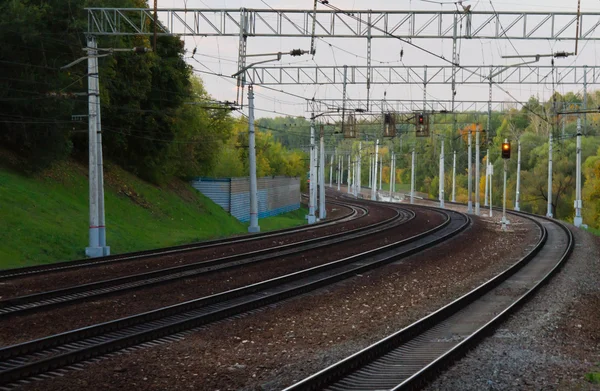 Délután, közel a vasút-őszi erdő — Stock Fotó