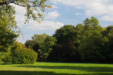 güzel bir güneşli bir günde takas orman manzarası