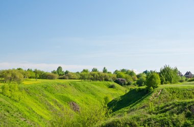 güneşli bir günde yeşil yaz park