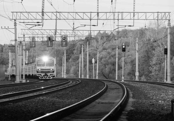 Ormanda pistlerde tren. siyah ve beyaz — Stok fotoğraf