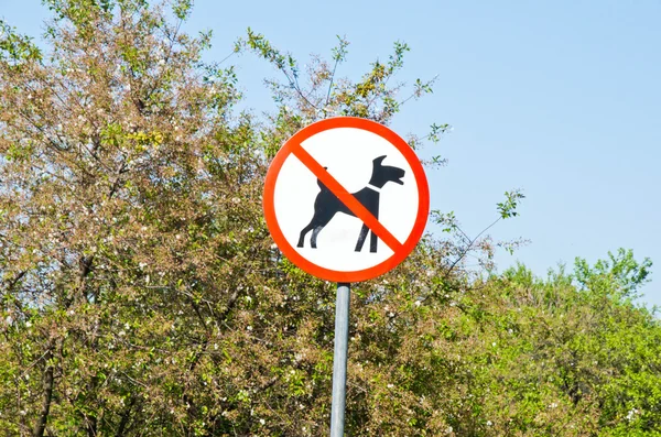 Schild verweigert Hundespaziergang auf Himmelshintergrund — Stockfoto