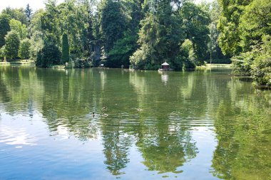 Donaueschingen Kraliyet Bahçeleri, Kara Orman, Almanya