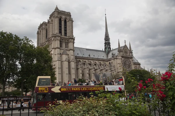Собор Парижской Богоматери — стоковое фото
