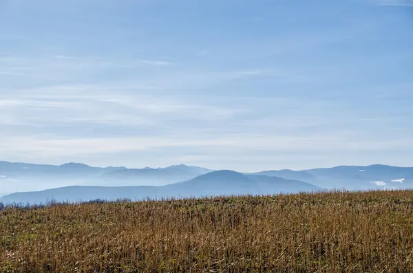 Cut field and farsightedness — Stock Photo, Image