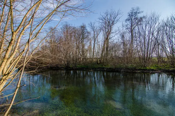 Természet és a tiszta patak — Stock Fotó