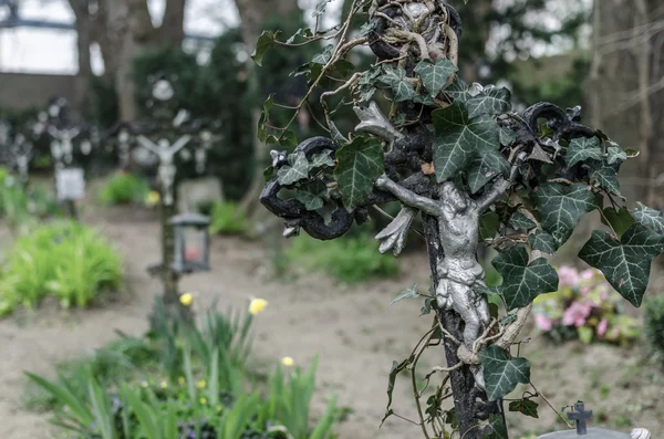 Cruz overgrown em um cemitério velho — Fotografia de Stock