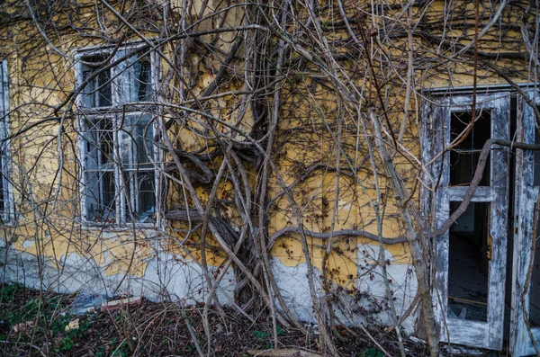 Overgrown old building — Stock Photo, Image