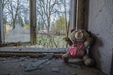 pencereli peluş ayı