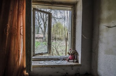 Eski odada peluş ayı