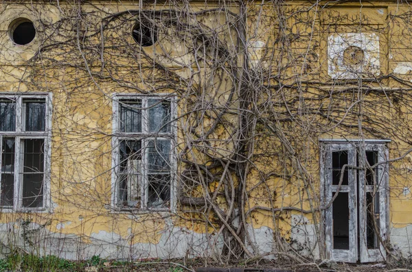 Terk edilmiş eski bir ev — Stok fotoğraf