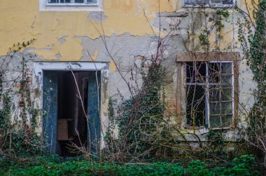 aşırı büyümüş ev duvar