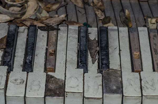 Terk edilmiş evde piyano tuşları — Stok fotoğraf