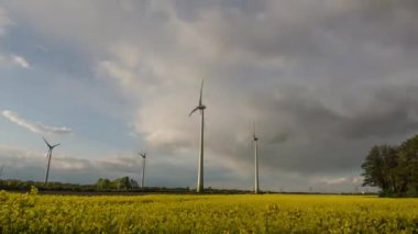 tecavüz alan pinwheels timelapse