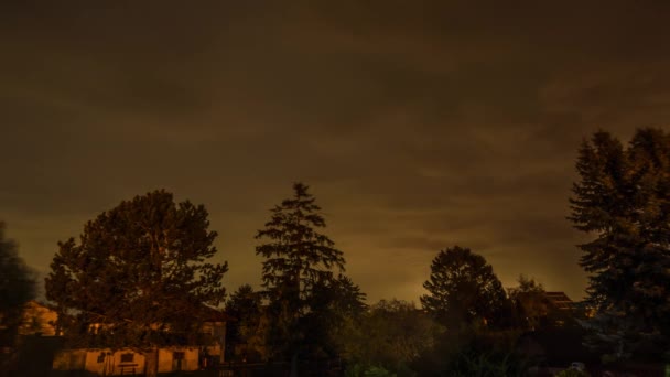 Beaucoup de flashs jardin timelapse — Video