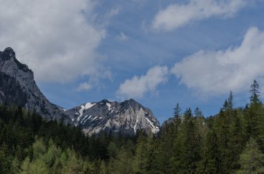 yüksek dağ güzel orman