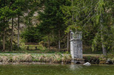 kıyısında kutsal hisse senedi