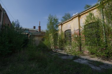 fabrika ve çalılar