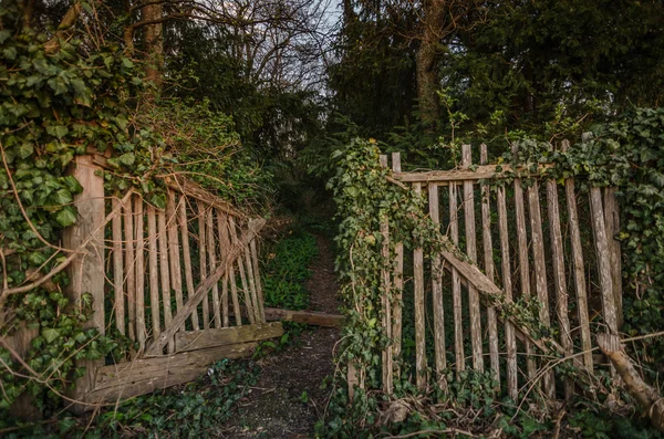 Old wooden gate — Stock Photo, Image