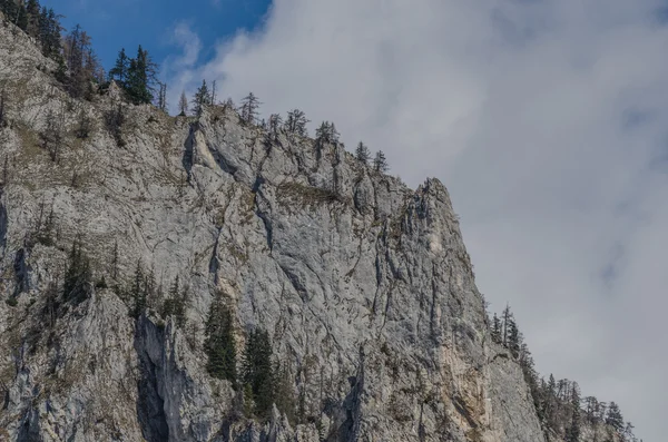 Felsigen Berg und Bäume — Stockfoto