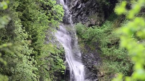 Kleiner schöner Wasserfall — Stockvideo