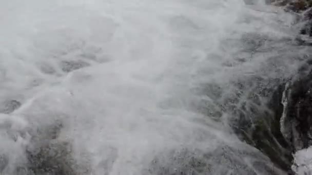 Torrente selvaggio in montagna — Video Stock