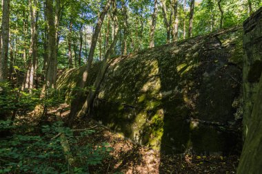 Ormandaki Reichsautobahn köprüsünün altında.