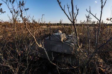 Vahşi doğa ve çalılıkların arasındaki eski tank.