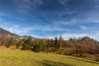 Güneşli sonbaharda yürüyüş yaparken, renkli tepe manzarası