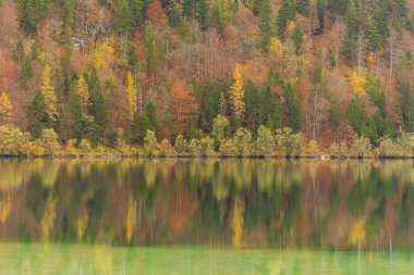 Dağdaki bir gölde yürürken kahverengi yeşil yansıma