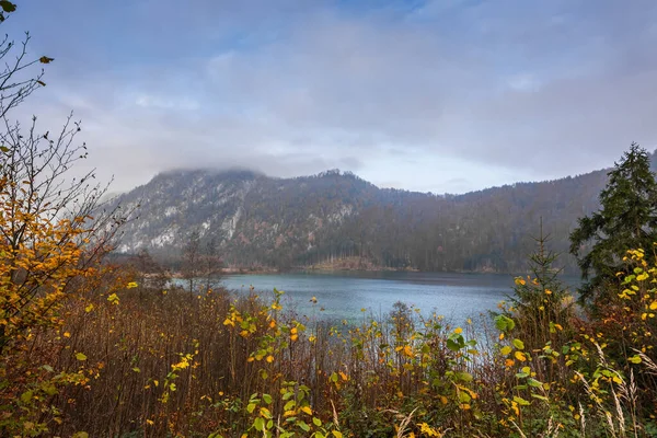 Colorful Leaves Autumn Shrubs Lake While Hiking — Stock Photo, Image