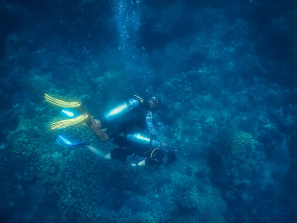 エジプトの海の底のサンゴで2人のダイバーが — ストック写真