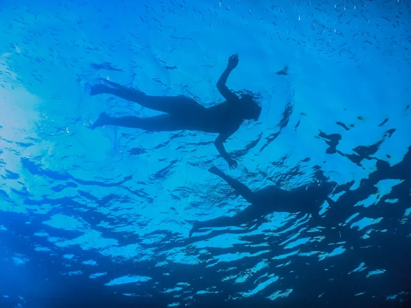 Dos Mujeres Nadando Mar Azul Vacaciones Verano —  Fotos de Stock