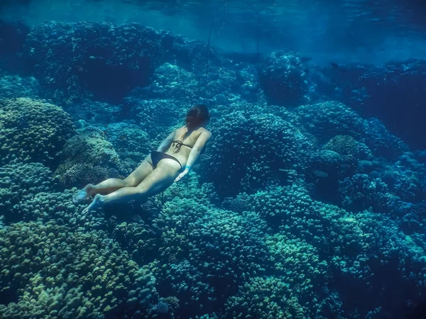 黒ビキニの女性は夏に紅海のサンゴをダイビングし — ストック写真