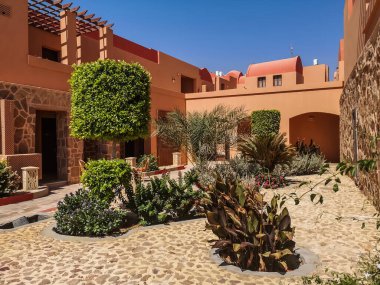 Mısır 'da tatil için bir bungalovda çalılar ve bitkiler