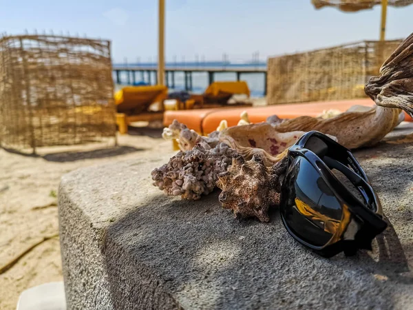 Occhiali Sole Coralli Spiaggia Vacanza Egitto — Foto Stock