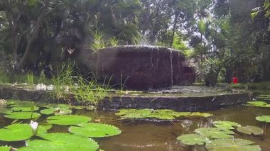 Bali 'de birçok bitkiyle dolu gölette bir çeşme