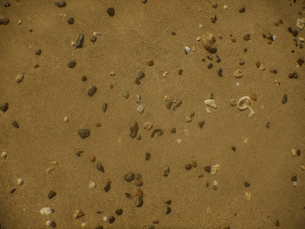 Pequenas Pedras Praia Areia Macia Férias Egito — Fotografia de Stock
