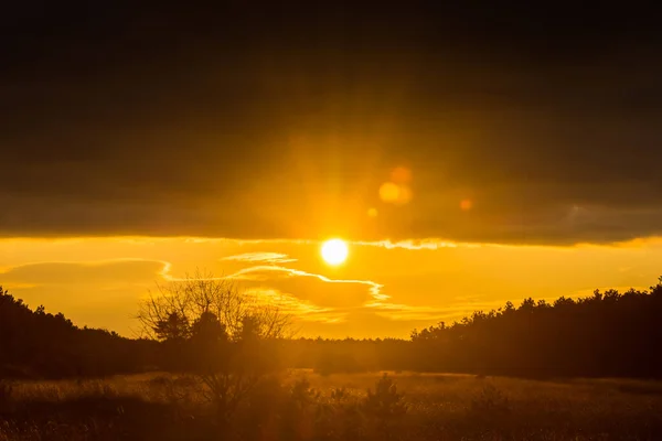 Ljust Varm Sol Ett Platt Landskap Sommaren — Stockfoto