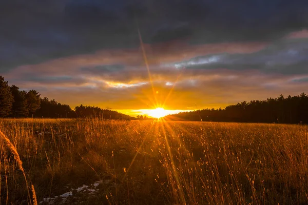 Ljusa Varma Solstrålar Medan Solnedgången Ett Platt Landskap Ett Naturreservat — Stockfoto