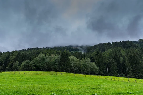 Cerca Prado Verde Floresta Com Densas Nuvens Chuva Enquanto Caminhadas — Fotografia de Stock