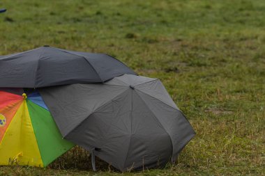 Yağmurdan sonra bir festivalde yeşil çayırdaki şemsiyeler