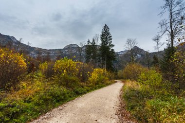 Sonbaharda yürüyüş yaparken rengarenk bir doğada toprak yol