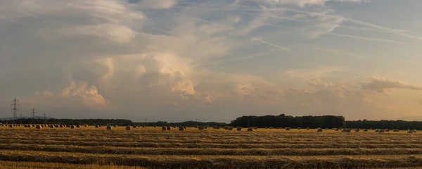 Muitos Fardos Palha Campos Com Nuvens Densas Céu Vista Panorâmica — Fotografia de Stock