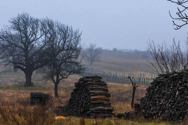 Gestapeld Hout Bomen Met Mist Koude Winter — Stockfoto