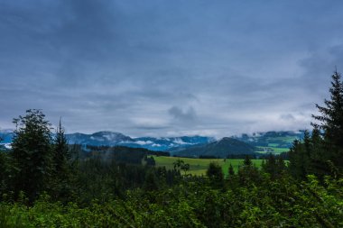 green nature landscape with rain clouds and fog in spring