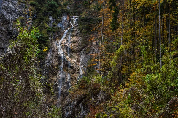 Kleiner Wasserfall Und Schroffe Felsen Mit Bunten Bäumen Herbst Beim — Stockfoto